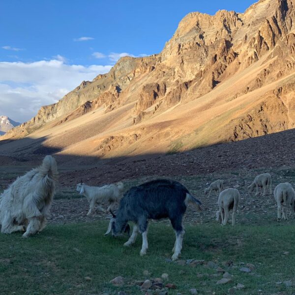 Leh-Ladakh Tour Package : 10D/9N
