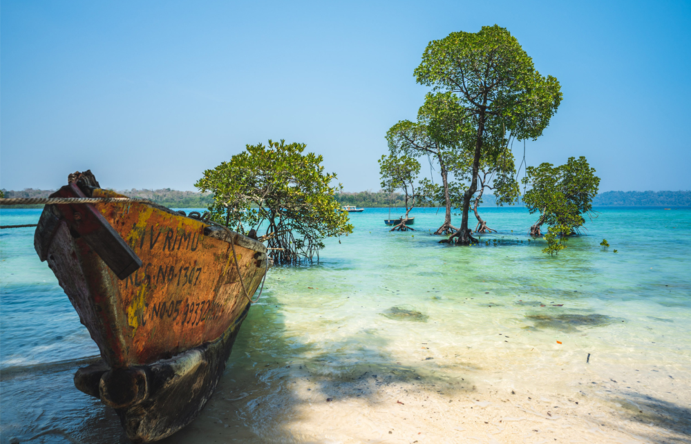 The Emerald Islands : Andaman Tour Package :7D/6N