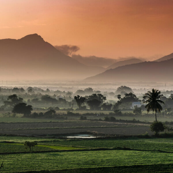 Enchanting Tamil Nadu Tour Package : 5D/4N