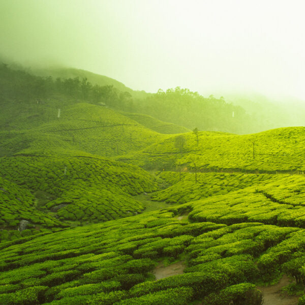 Enchanting Tamil Nadu Tour Package : 5D/4N