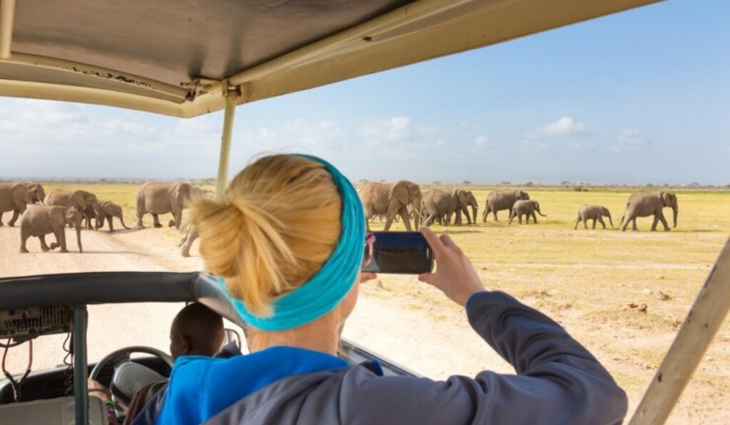 Why Book Dubai Safari Ticket?