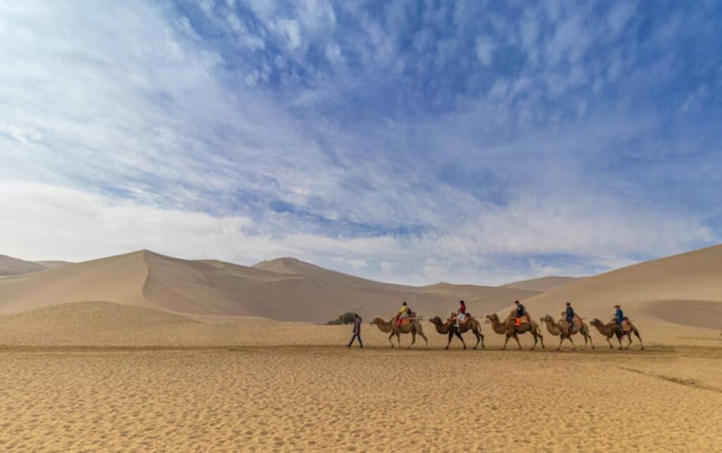 Desert Safari & Dune Bashing in Dubai