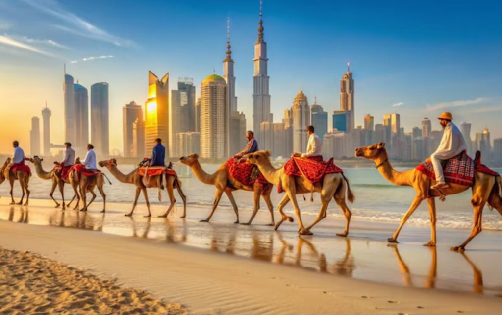Seek Experience and Expertise the Top Travel Agency 